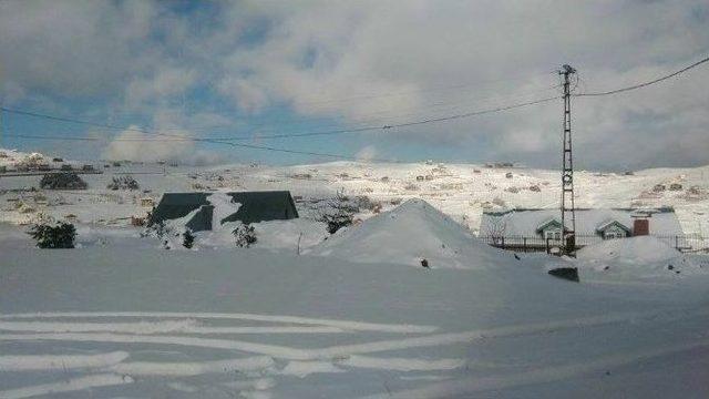 Çambaşı Yaylası’nda Kartpostallık Görüntüler