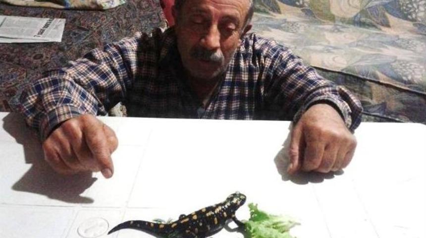 Bah&ccedil;ede &lsquo;t&uuml;rk Semenderi&rsquo; Bulundu