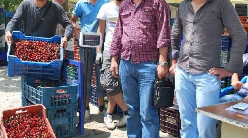 Organik Kiraz &Uuml;reticinin Y&uuml;z&uuml;n&uuml; G&uuml;ld&uuml;rd&uuml;