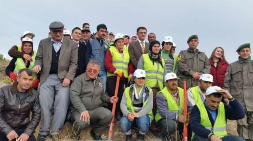 Kaymakam Balcı Ağa&ccedil;landırma &Ccedil;alışmalarını İnceledi