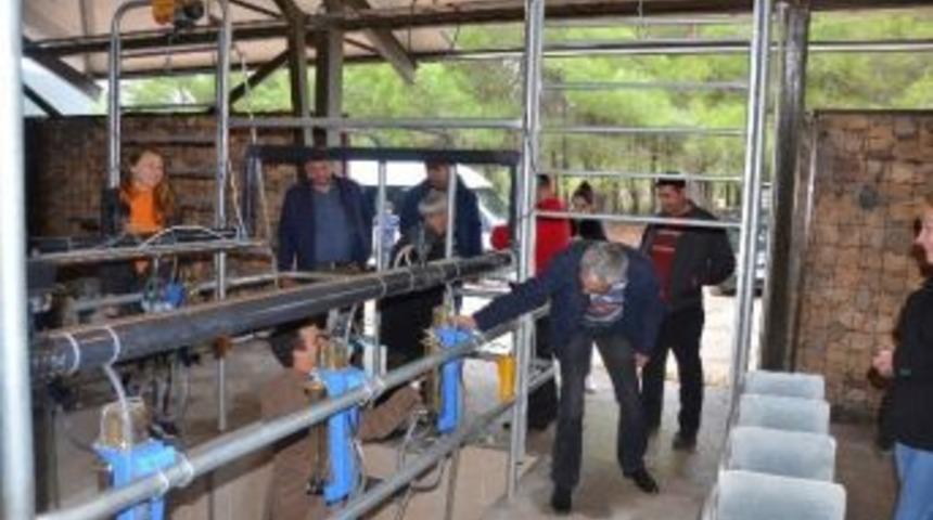 Türkiye’nin Hayvancılık Alanındaki Tecrübesi Moldova’ya Taşınıyor