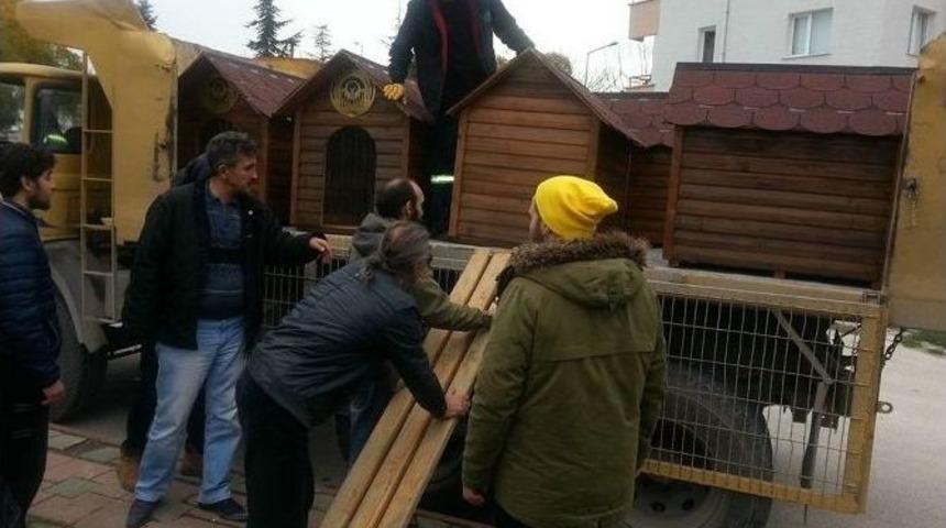 Sokak Hayvanlarına Modern Kul&uuml;beler