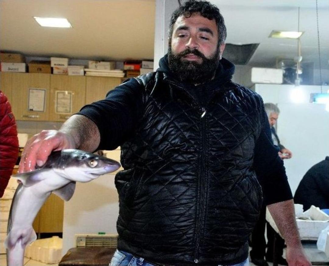 Hamsinin Peşine Takılan K&ouml;pek Balığı Balık&ccedil;ı Ağlarına Takıldı