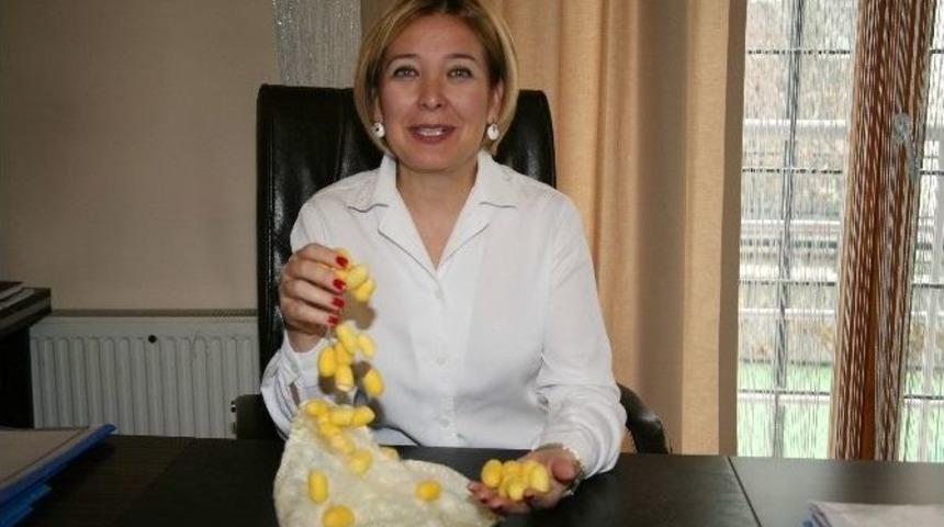 Altın Koza İle Doğal Peeling