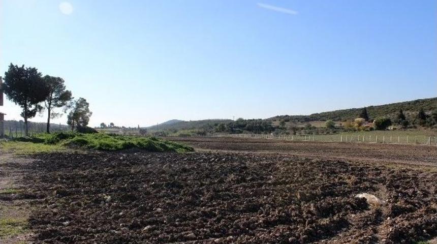 Didim Belediyesi Fidanlığında Sona Gelindi