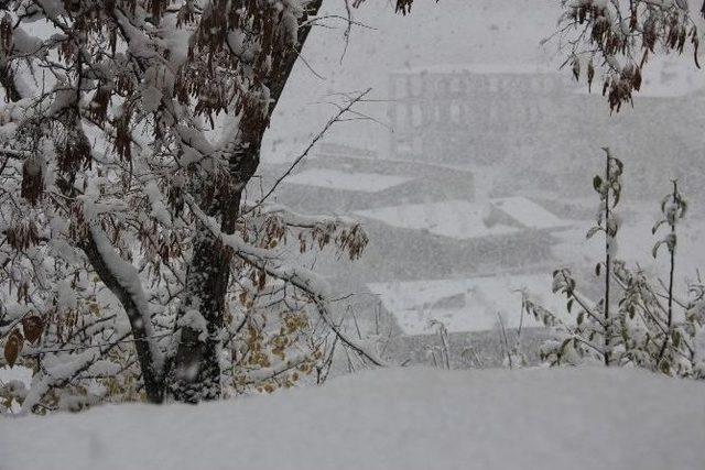 Hakkari’de Kar Esareti