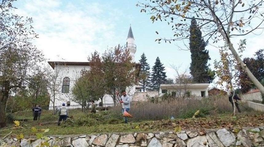 Sapanca Belediyesi Bakım Ve Onarıma Devam Ediyor