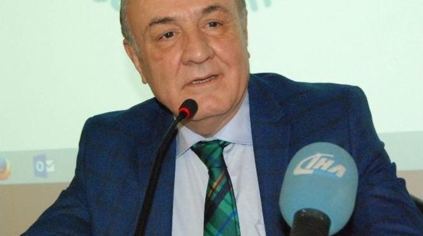 M&uuml;lteci Sorununa Akademik Yorum