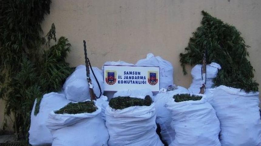 Jandarmanın Asayiş Uygulamaları