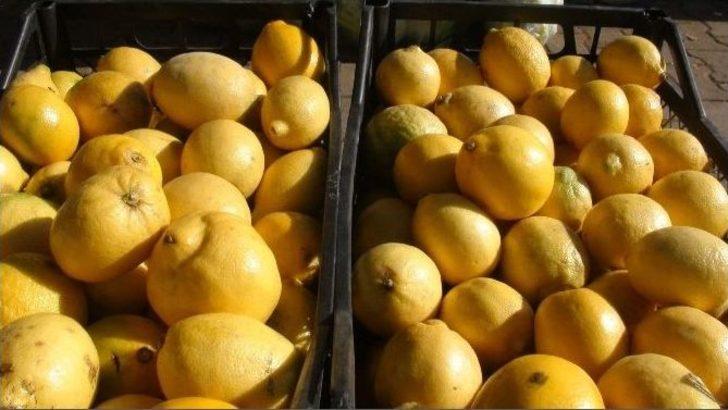 Şanlıurfalı Komisyonculardan Rusya Tepkisi G5