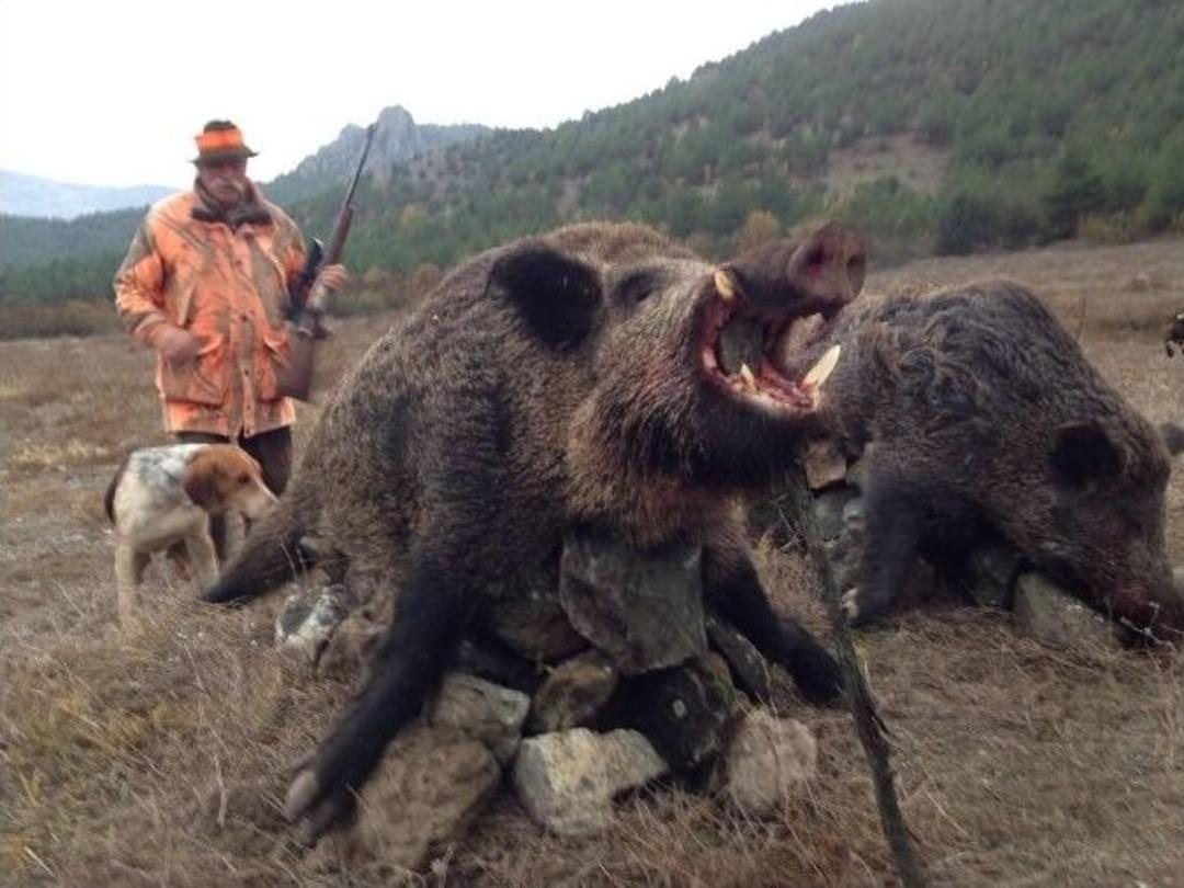 Avrupalı Avcılar Onlar İ&ccedil;in T&uuml;rkiye&rsquo;ye Geliyor