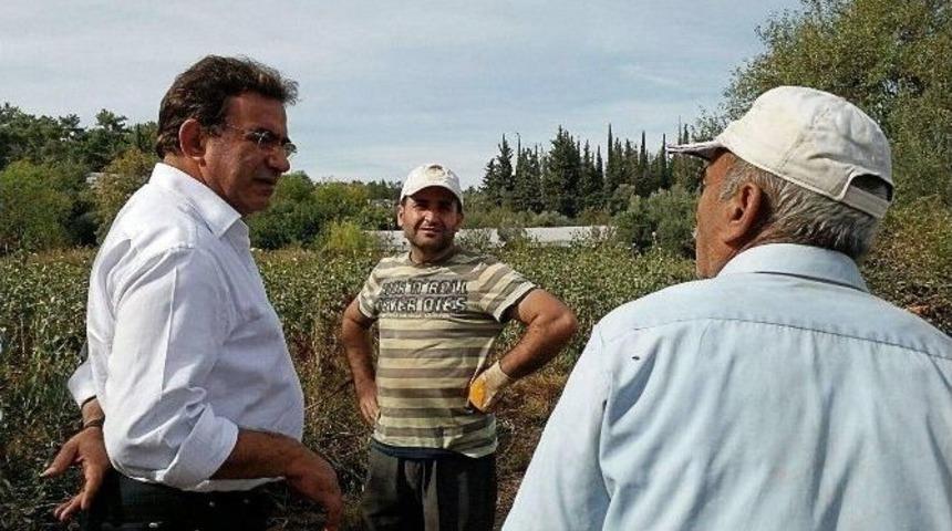 Budak: "rusya Krizi, Siyasi Afet Halidir"