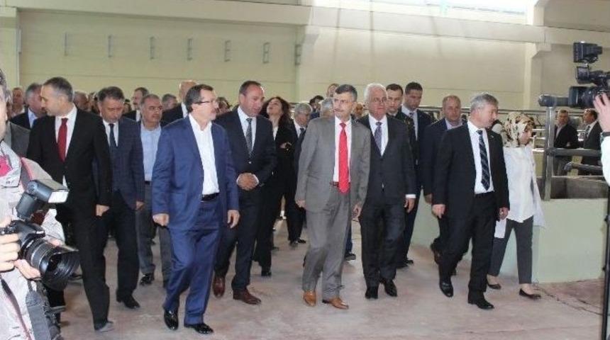 Saruhanlı’da Zeytin İşleme Tesisi Törenle Açıldı