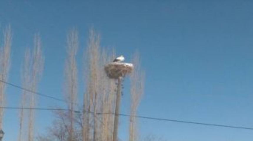 Van&rsquo;ı Seven Leylek G&ouml;&ccedil; Etmedi