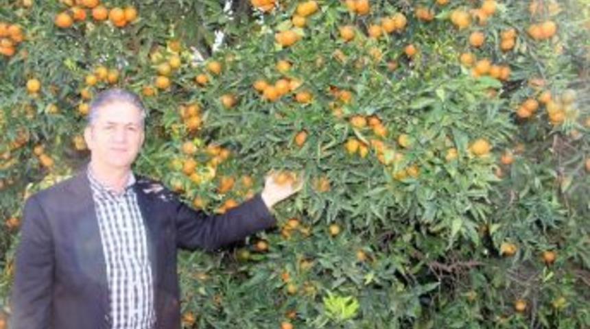 Havadaki Kriz Bah&ccedil;eyi De Vurdu