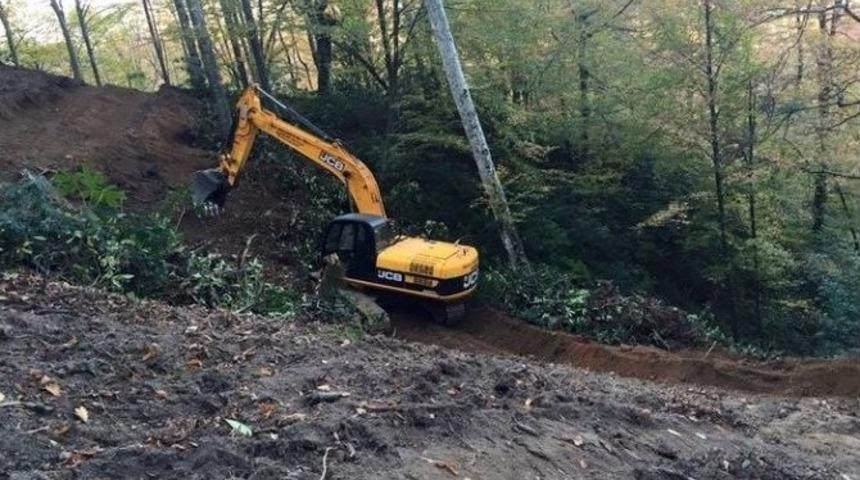 G&ouml;lyaka&rsquo;da Doğal Gen&ccedil;leştirme &Ccedil;alışmaları Tamamlandı