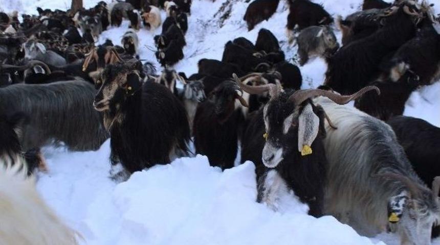 Yayladan D&ouml;nenler Mahsur Kaldı