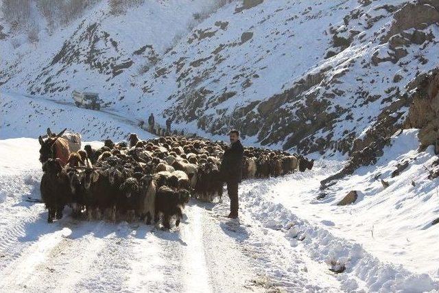 Yayladan Dönenler Mahsur Kaldı