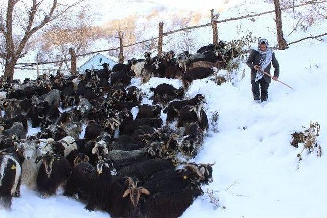 Yayladan Dönenler Mahsur Kaldı