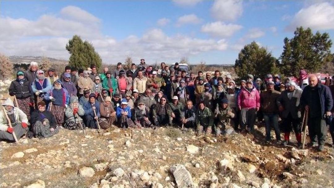 Silifkeli Gen&ccedil; Kızlar, &Ccedil;eyizlerini Ormandan Kazanıyor