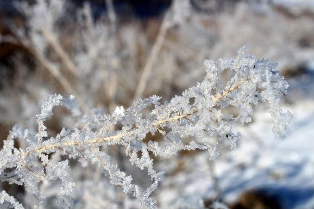 Eksi 17 Derece&rsquo;yi G&ouml;ren Erzurum&rsquo;da G&ouml;let Ve Dereler Buz Tuttu