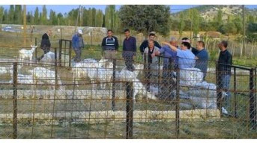 &Ccedil;obanlara Teknik Gezi