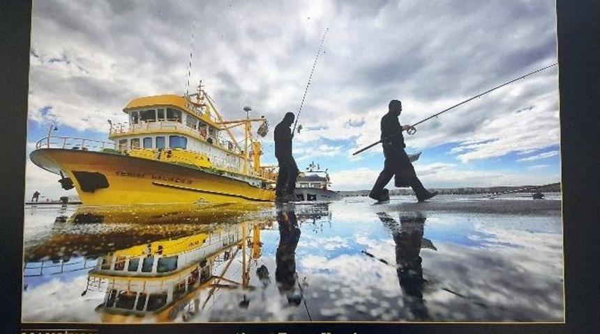 Sanat&ccedil;ılar Beylikd&uuml;z&uuml;&rsquo;n&uuml; Fotoğraflarla &Ouml;l&uuml;ms&uuml;zleştirdi