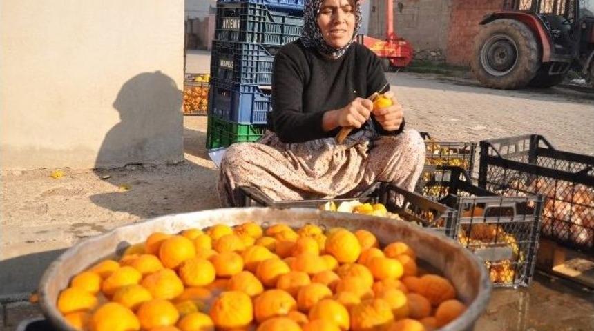 (&ouml;zel Haber) Mandalina Soyarak Para Kazanıyorlar