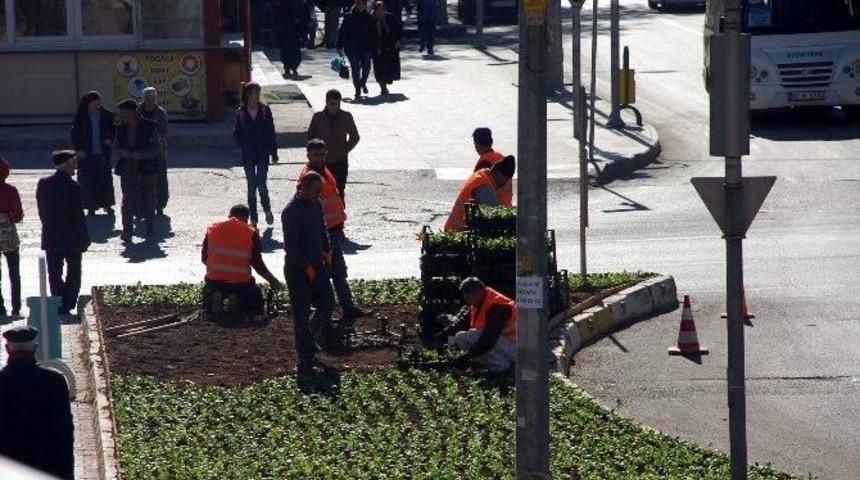 Refüj Ve Kavşaklara Çiçekler Ekiliyor