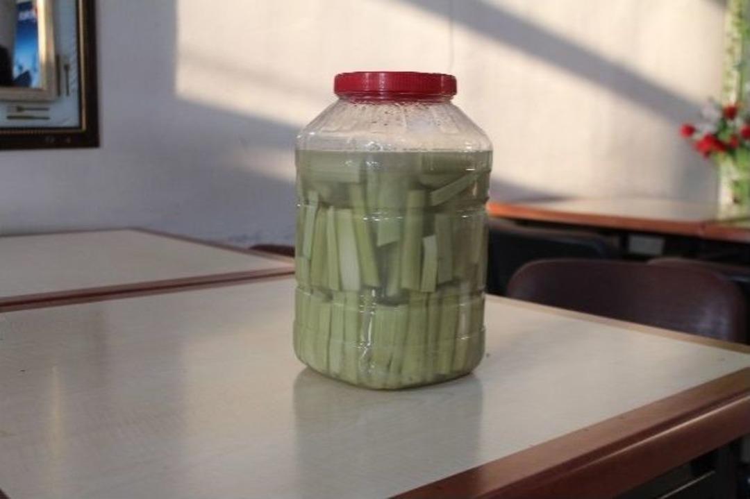 Bilim D&uuml;nyasında Heyecan Uyandıran U&ccedil;kunun Turşusu Yapıldı