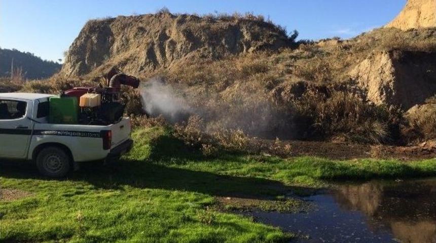 Kış Aylarında Haşere İle Mücadele Devam Ediyor