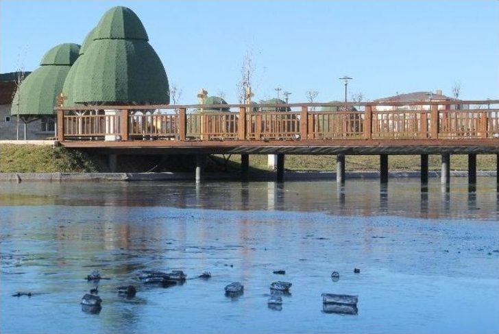 Elazığ’dan Süs Havuzları Dondu G3