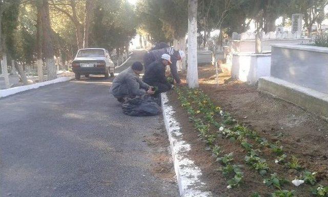 Büyükşehir Mezarlıkları Bakıma Aldı