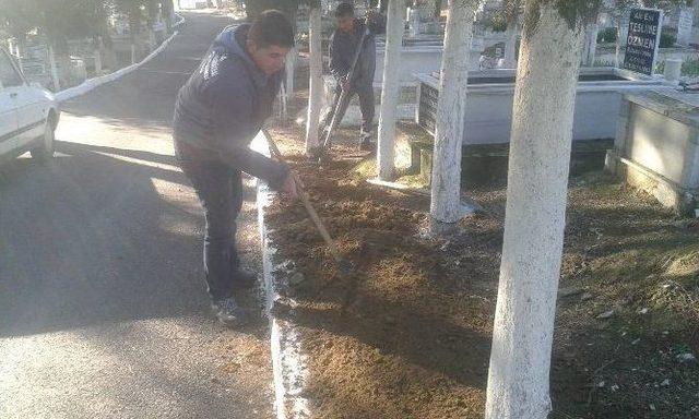 Büyükşehir Mezarlıkları Bakıma Aldı