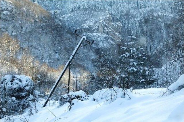 Beyaz Afetin Enkazı Üç Günde Ortadan Kaldırıldı