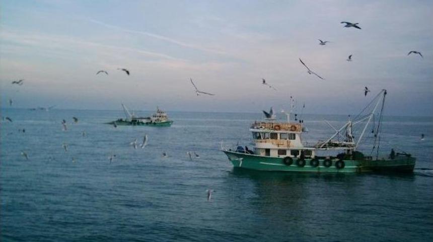 Marmara Denizi&rsquo;nde Trol Yeniden Hortladı
