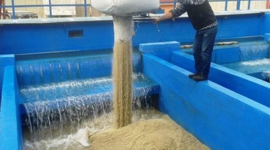 Hızlı Kum Filtreleri Havuzlarının Temizliği Yapıldı