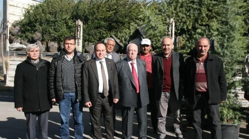 Gecek Termal&rsquo;de Bin Fidan Toprakla Buluştu