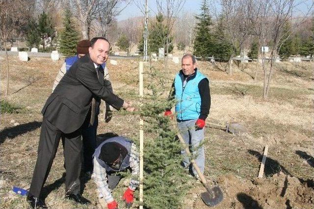 Gecek Termal’de Bin Fidan Toprakla Buluştu