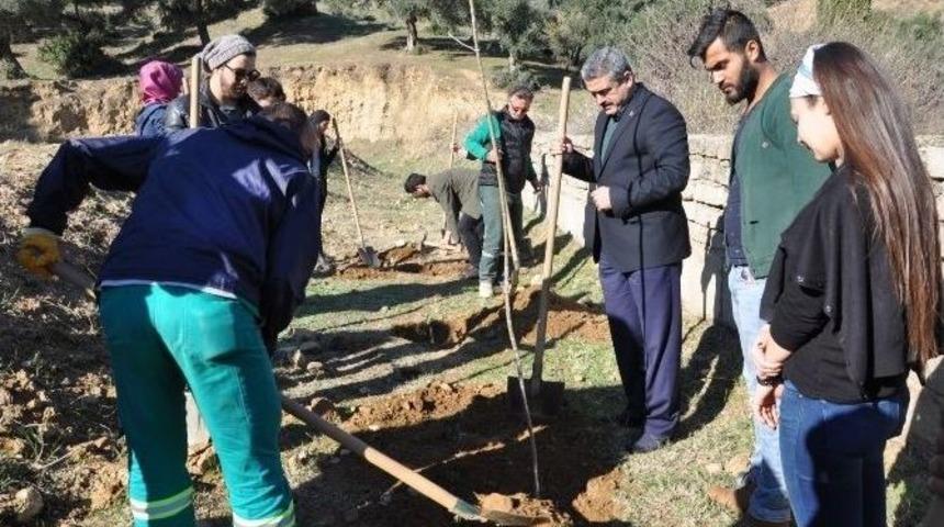 Başkan Alıcık, G&ouml;n&uuml;ll&uuml;lerle Birlikte Fidan Dikti