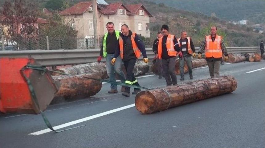 Tem&rsquo;de Devrilen Tomruk Y&uuml;kl&uuml; Tır Trafiği Fel&ccedil; Etti