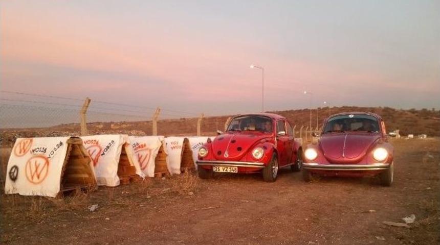 Sokak Hayvanları İ&ccedil;in &Ouml;zel Barınaklar