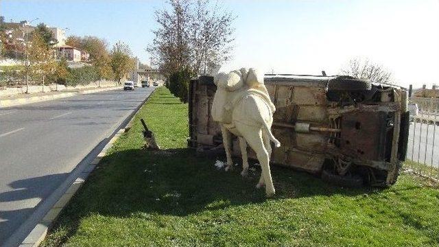 Gaziantep’te Kaza