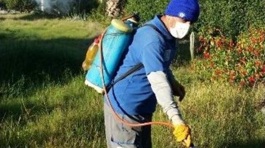 B&uuml;y&uuml;kşehir&rsquo;den Ev Ve İşyerlerine İla&ccedil;lama Servisi