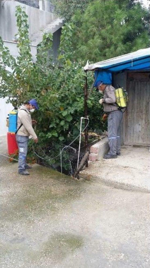 Büyükşehir’den Ev Ve İşyerlerine İlaçlama Servisi