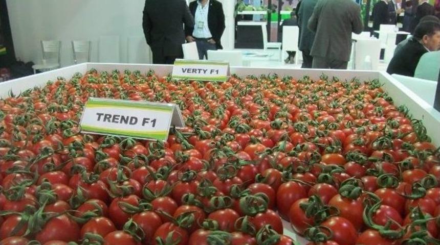 B&uuml;y&uuml;kşehir, Kadın &Ccedil;ift&ccedil;ileri Fuara G&ouml;t&uuml;rd&uuml;