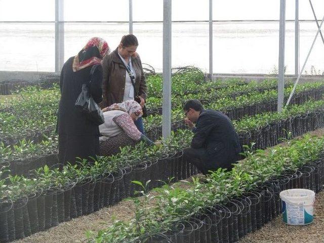 Büyükşehir, Kadın Çiftçileri Fuara Götürdü