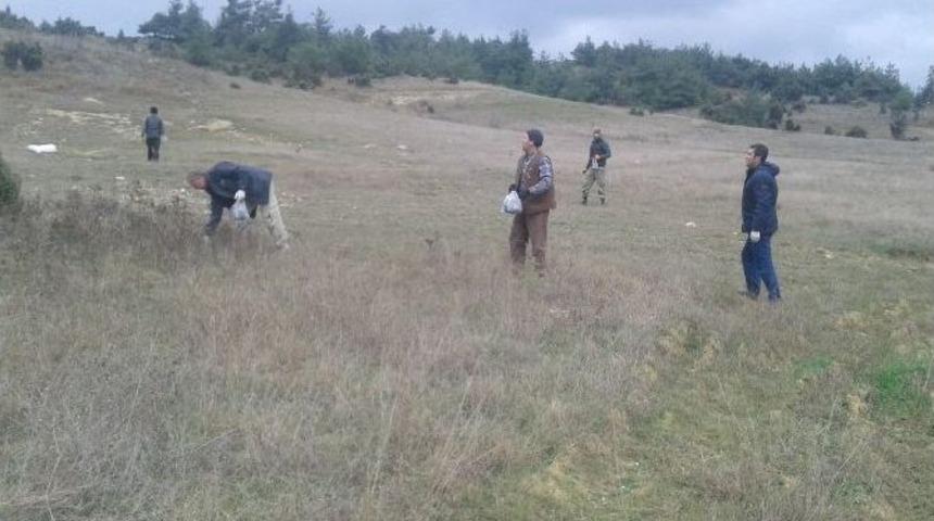 Bilecik&rsquo;te K&ouml;yl&uuml;ler Tarla Fareleri İle M&uuml;cadele Ediyor