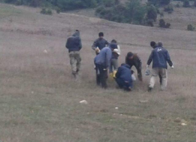 Bilecik&rsquo;te K&ouml;yl&uuml;ler Tarla Fareleri İle M&uuml;cadele Ediyor 1