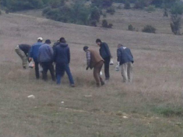 Bilecik&rsquo;te K&ouml;yl&uuml;ler Tarla Fareleri İle M&uuml;cadele Ediyor 2